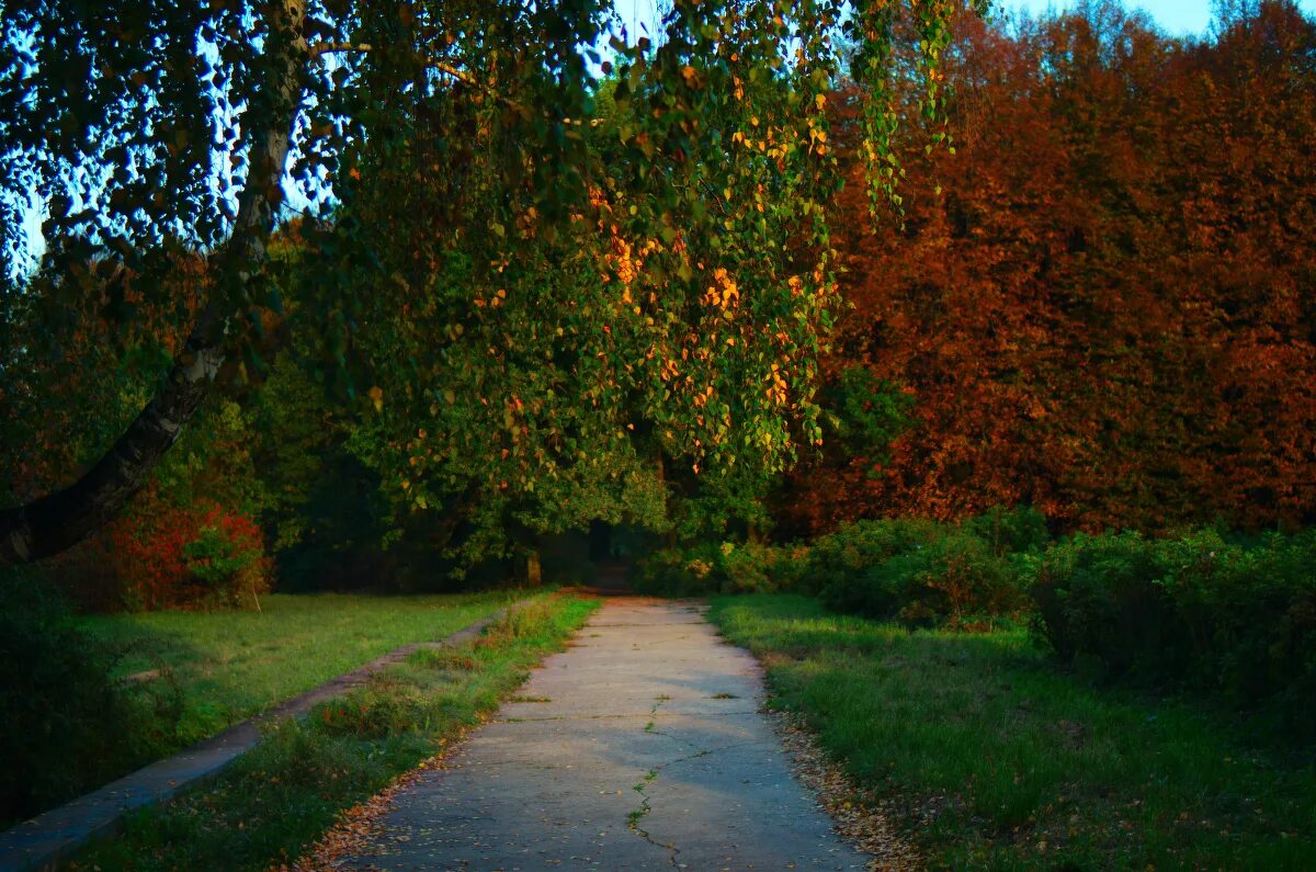 Осень 2013 год. Зеленая зона Пущино. Парк зеленая зона Пущино. Пущино природа. Пущино Московская область парк.