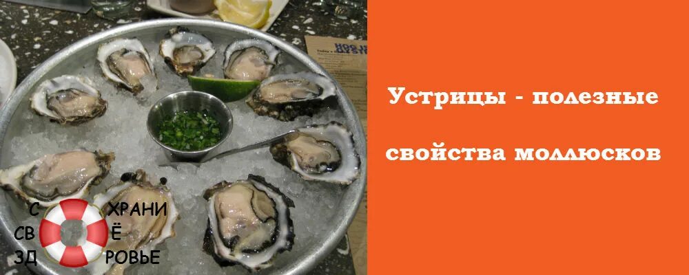 Аркашон устрицы. Вкусные устрицы. Устрицы витамины. Устрицы польза. Чем полезны устрицы.