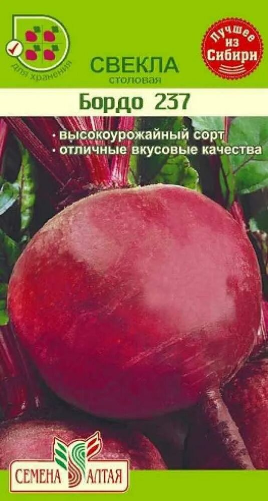 Свекла бордо описание сорта. Свёкла бордо 237 характеристика. Свекла "бордо 237". Сорт свеклы бордо 237. Столовая свекла сорта бордо.