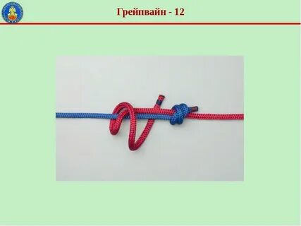 Грейпвайн