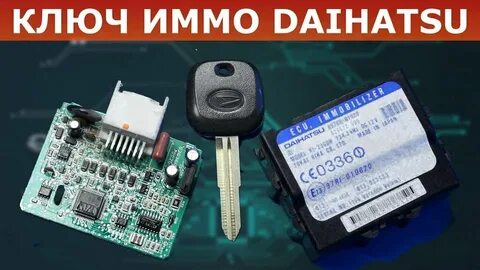Чипа чип потерян