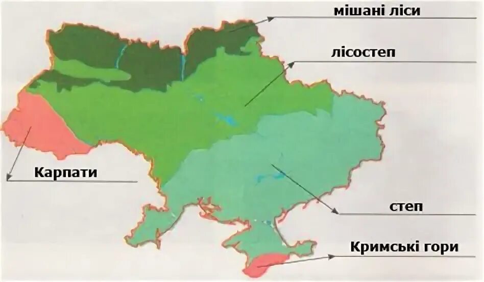 Карта природных зон Украины. Природные зоны Украины карты природных зон. Лесная зона Украины. Степная зона Украины на карте.