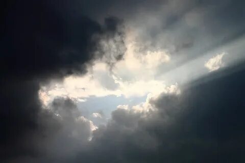 Красавец смотрит сквозь тучи