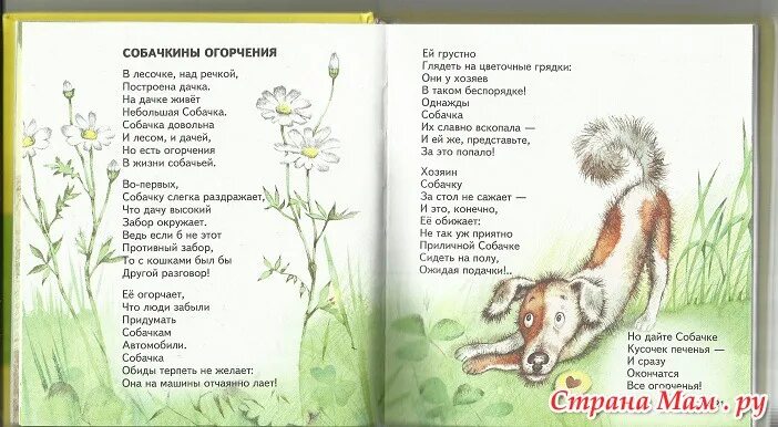 Б Заходер Собачкины огорчения. Стихотворение Собачкины огорчения Заходер.