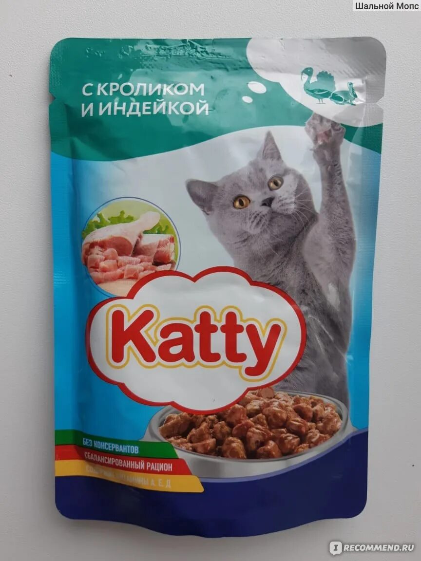 Katty корм для кошек. Katty корм для кошек. Корм для кошек катти в пакетиках. Кэти кэт корм для кошек. Корм для кошек katty отзывы.