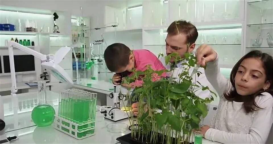 Лабораторная по экологии. Лаборатория экологии. Ботаники лаборатория. Лабораторная по экологии. Экологическая лаборатория в школе.