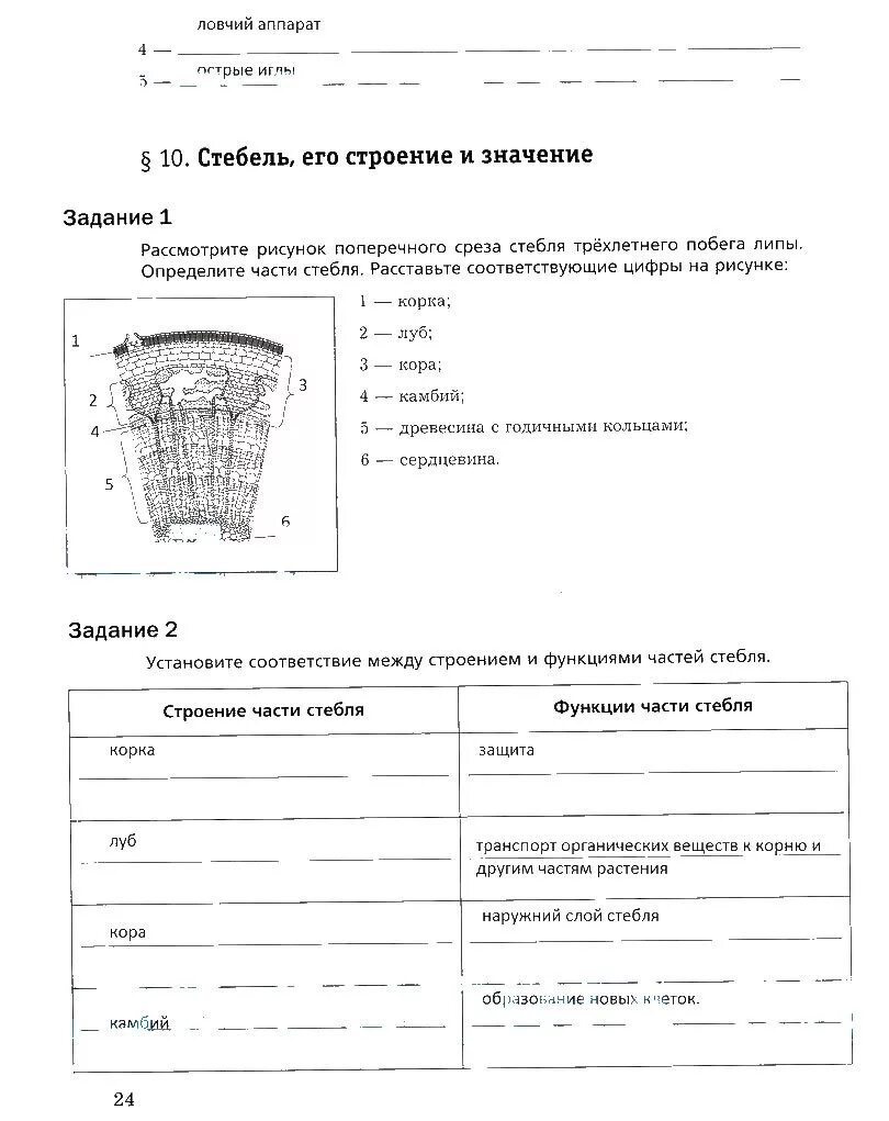 Биология 6 класс рабочая тетрадь Пономарева. Рабочая тетрадь по биологии 6 класс Пономарева. Рабочая тетрадь по биологии 6 класс Пономарева задания. Рабочая тетрадь по биологии 6 класс Пономарева 1 часть.