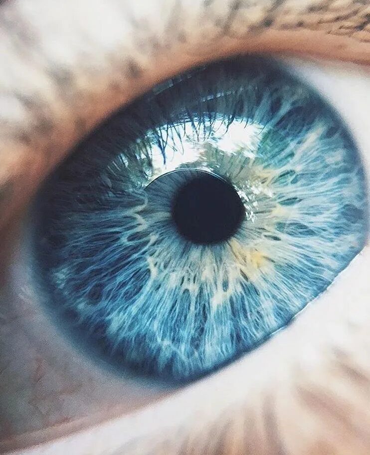 Голубые глаза прекрасны. Голубые глаза. Синие глаза. Красивые голубые глаза. Серо голубые глаза.