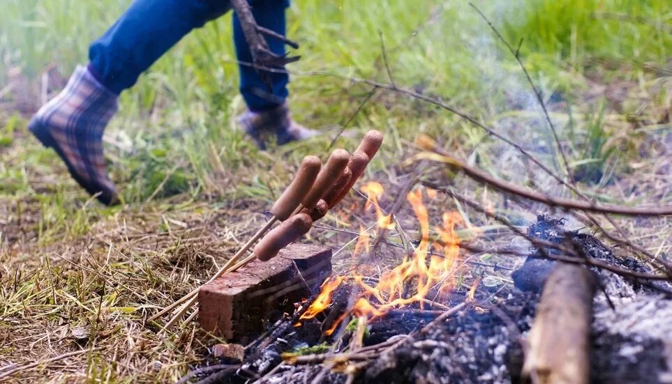 Где запрещено разводить костры на сухой траве. Костер в лесу. Штраф за костер в лесу. Нарушение пожарной безопасности в лесу. Разведение костров.