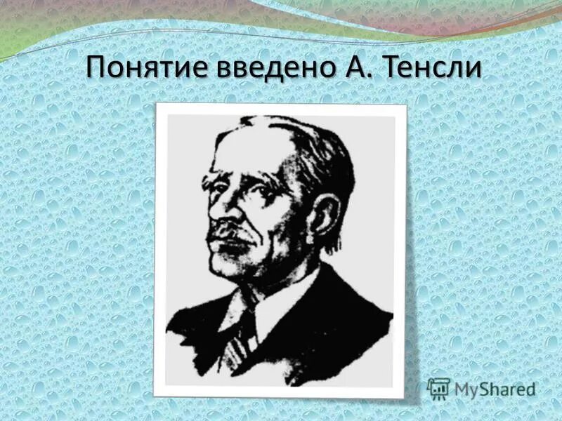 и берцелиус химик полимеры. леонард эйлер понятие функции. кто ввел понятие класс. кто ввел термин миология. кто ввел понятие класс.
