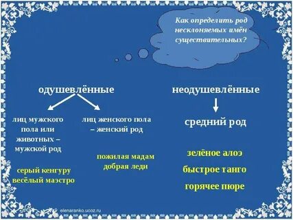 Зверь существительное