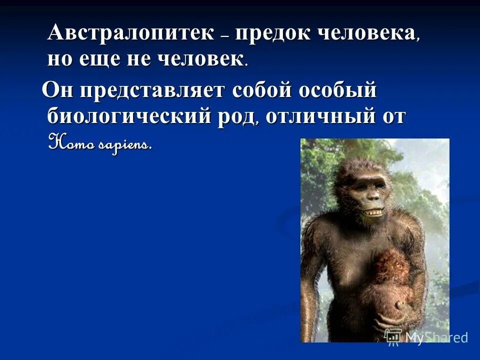 К предкам человека не относится