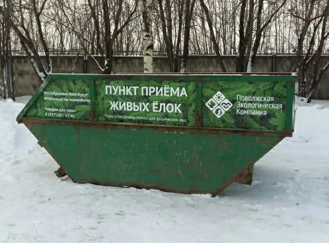 Пункт приема информации. Пункт приема елок. пункты приема живых елок.. пункт приема. утилизация живой елки нижний новгород.