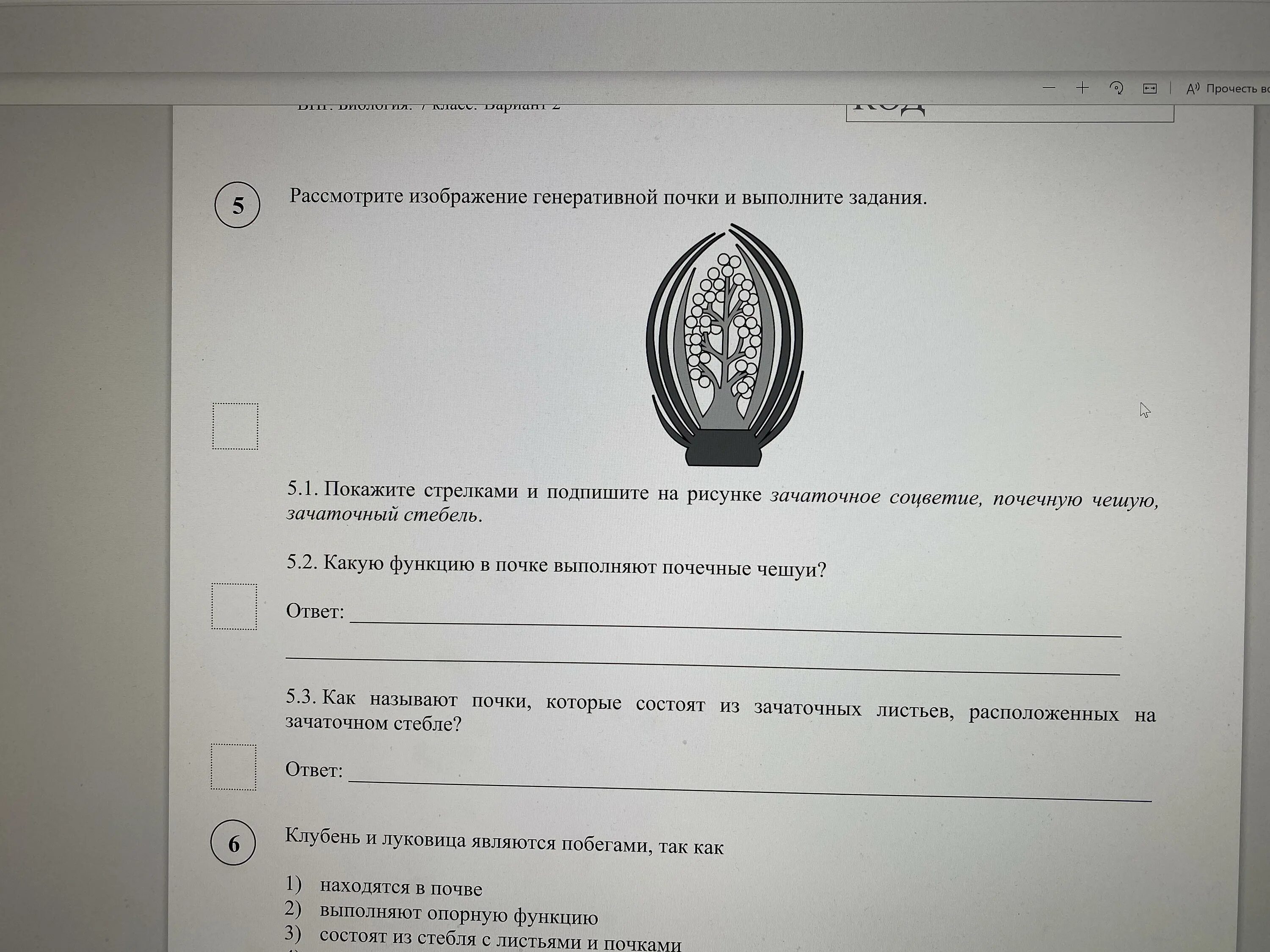 Решение впр 7 класс 2025. Вбр по биологии 7 класс. впр по биологии. впр биология 7 класс. впр по изобразительному искусству 7 класс.
