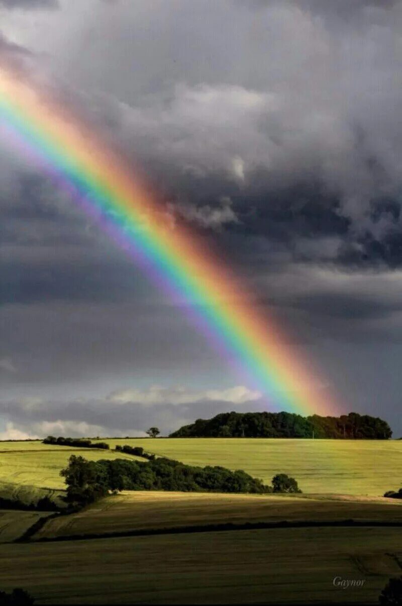 Дождь для радуги. Пейзаж с радугой. Радуга после дождя. Радуга в небе. Дождливая радуга
