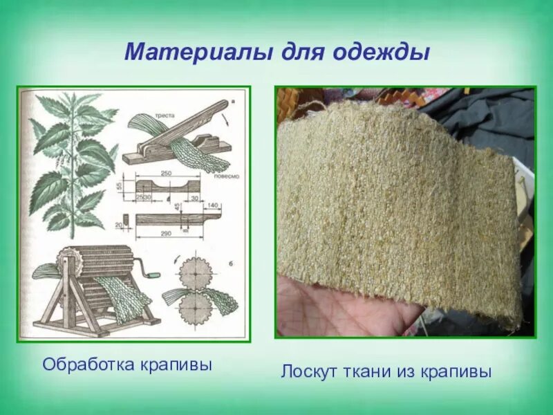 Растение для производства ткани. Материалы для изготовления ткани в древности. Ткань из крапивы. Волокно из крапивы. Одежда из крапивы.