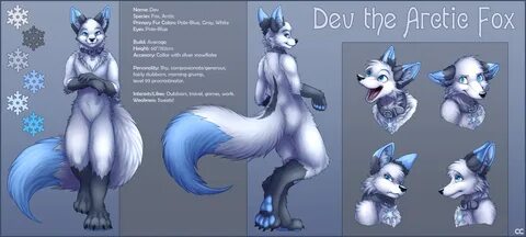 Dev the Arctic Fox Reference Sheet. 