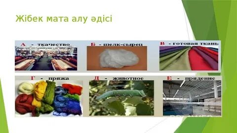 Қамышынның жалаңаш құнажындары