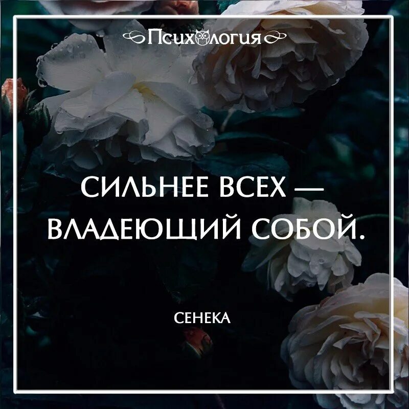 Перевод сильнее всех. Сильнее всех владеющий собой. сильнее всех владеющий собой сенека. есть такая улыбка улыбка разочарования. улыбка разочарования цитаты.