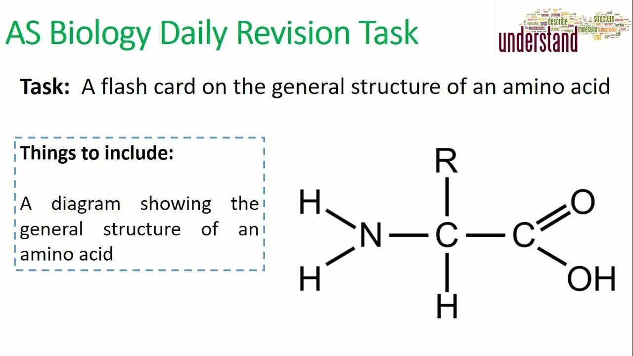 Task 19
