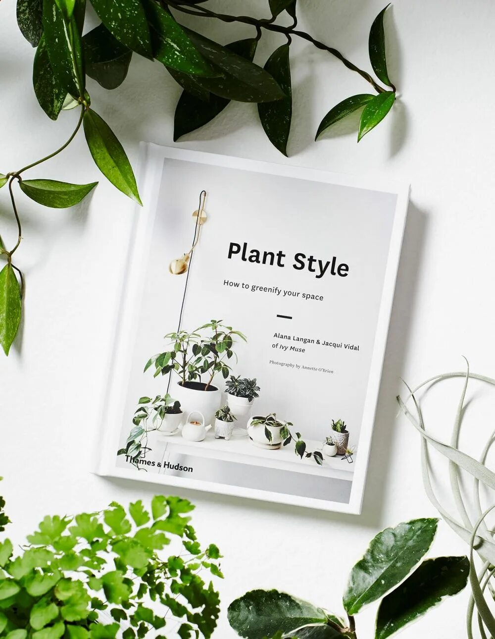 Книга plants. Мод на растения. Книги про растения дизайн.