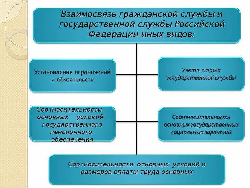 4 виды государственной службы. Взаимосвязь гражданской и государственной службы. Взаимосвязь видов государственной службы. Государственная и муниципальная служба. Взаимосвязь государственной и муниципальной службы.