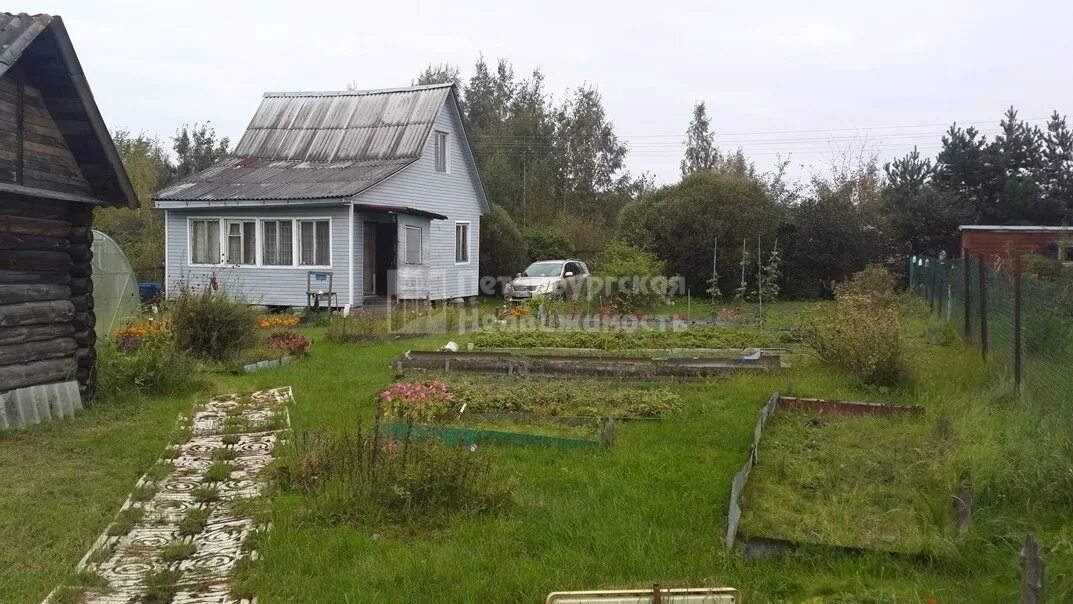 Трансмаш горелово. Трансмаш горелово. Горелово заречная 2 вниитрансмаш. Светофор, горелово. Трансмаш медведев.