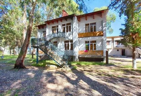 Эвкалиптовая роща абхазия сайт