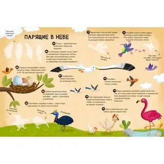 100 интересных фактов