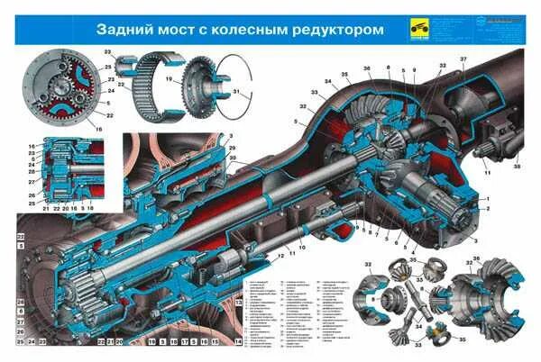 Работа моста автомобиля. Редуктор заднего Маста КАМАЗ В разрезе. Конструкция заднего моста КАМАЗ. Дифференциал переднего моста УАЗ. МТЗ 1021 привод заднего моста дифференциала.