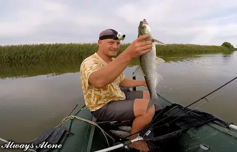 Видео alone рыбалка