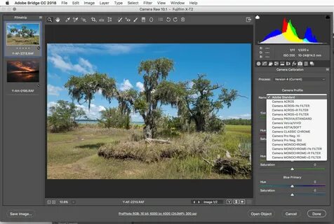 Adobe camera raw