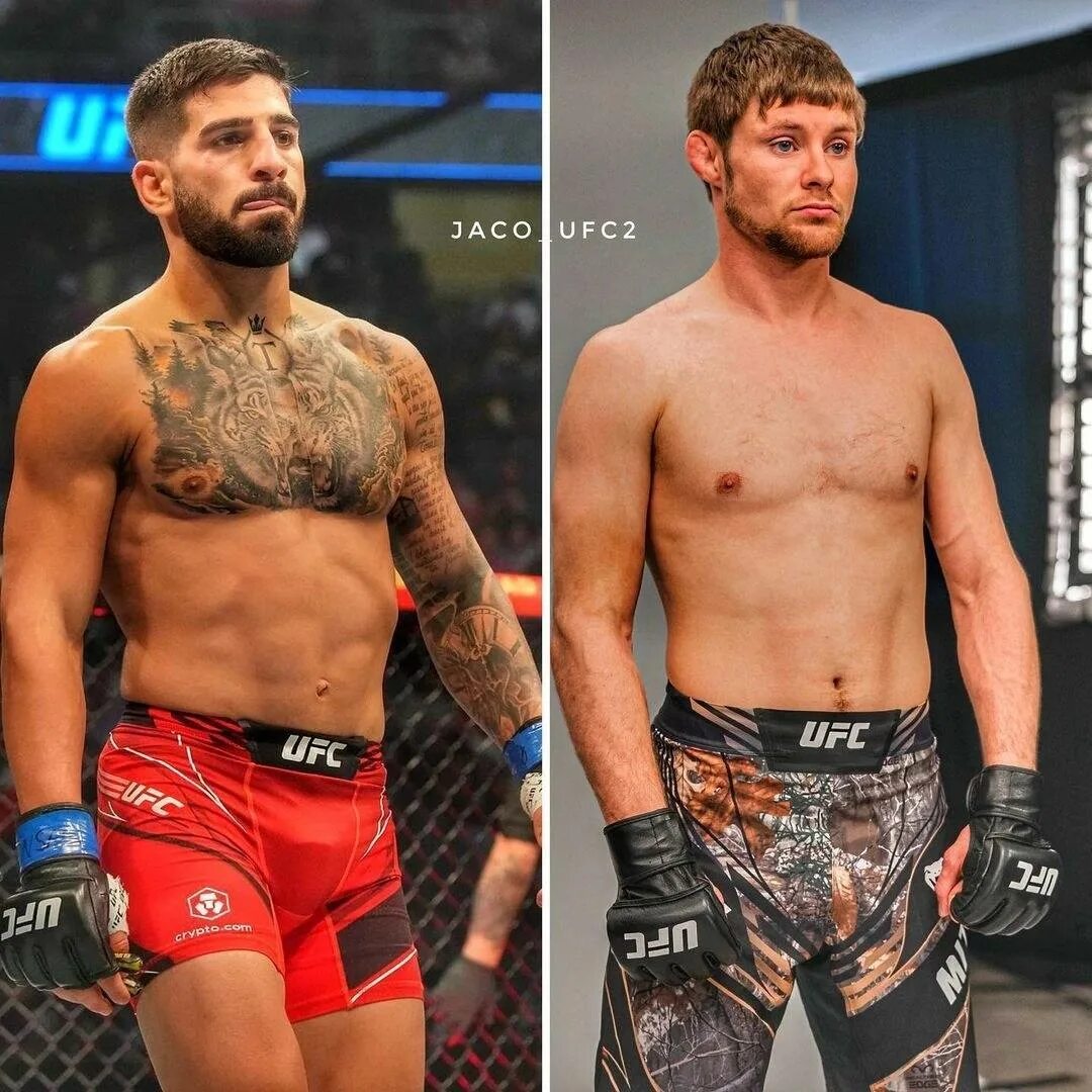 Телеграм канал мма. Mcgregor vs chandler. Телеграм канал мма. Телеграм канал мма. Телеграм канал мма.