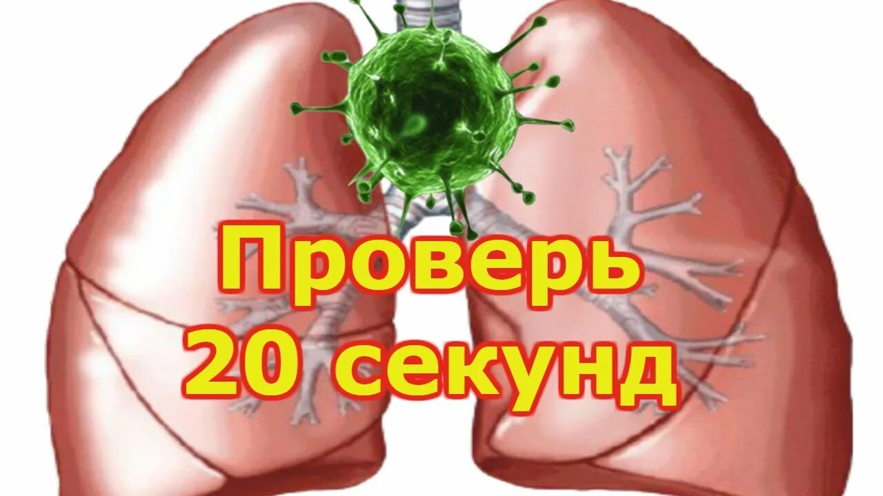 Проверить легкие. Как проверить легкие в домашних условиях. Как самостоятельно проверить легкие. Тест на проверку легких. Где проверяют легкие