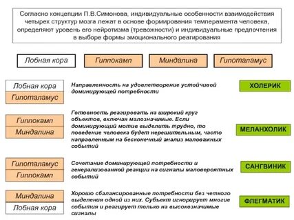 Роль в регуляции поведения