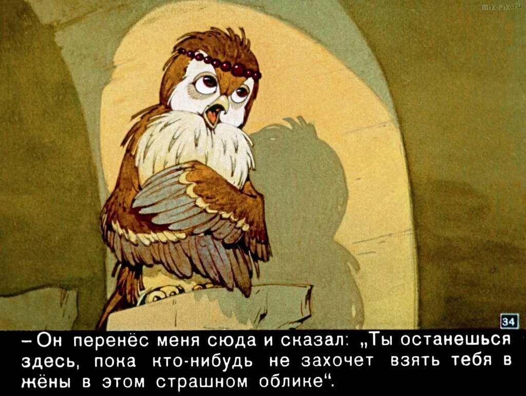 Аист и сова. Халиф-аист кашнур. халиф аист диафильм. сказка калиф аист.