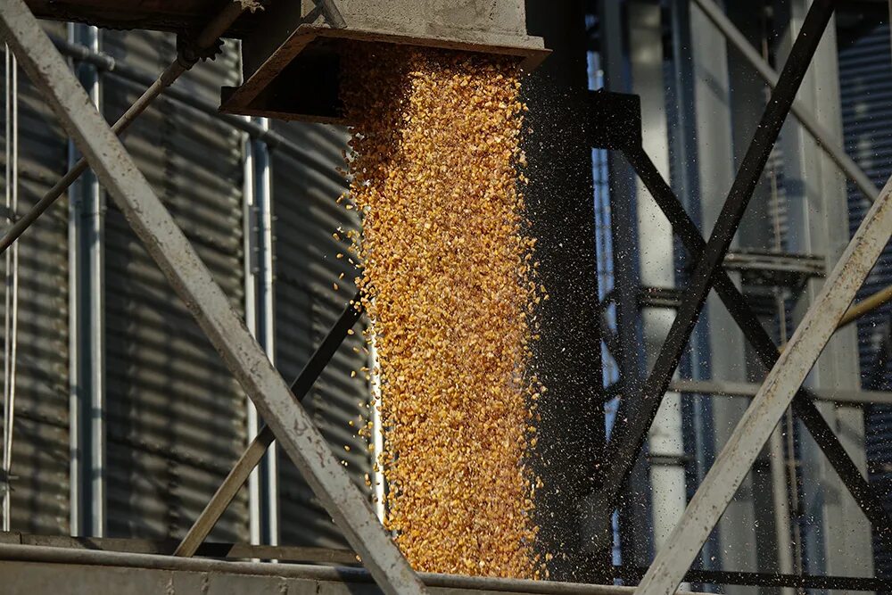 Сушилка для зерновых культур. Самопередвижной очистительный комплекс сок-30. Производство крупы. Аппаратчик обработки зерна. Сушка зерна на элеваторе.