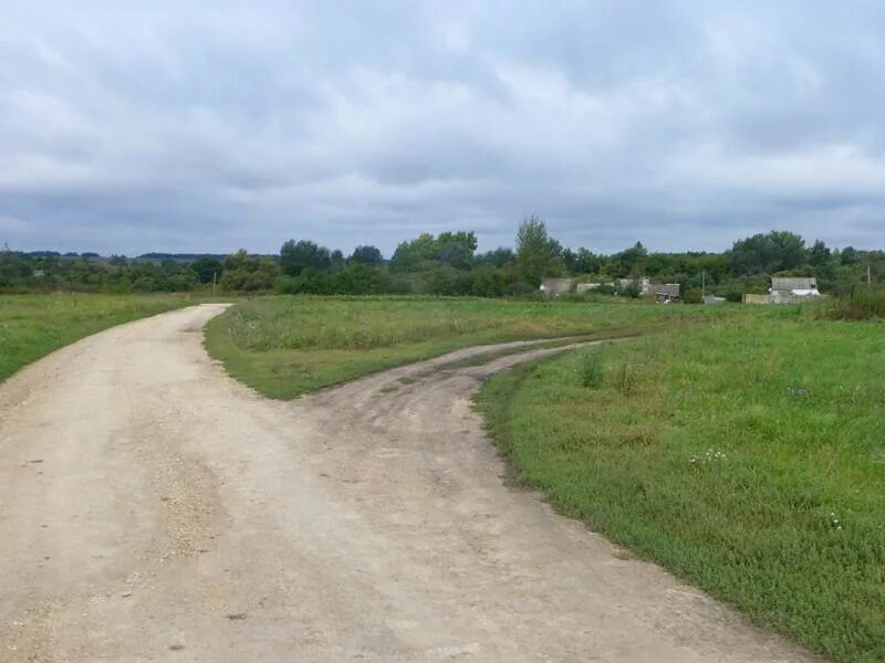 Деревня летом. Дорога в деревне. Деревня заметная. Глубинка россии деревня. Деревенька в лесу дмитровское шоссе.