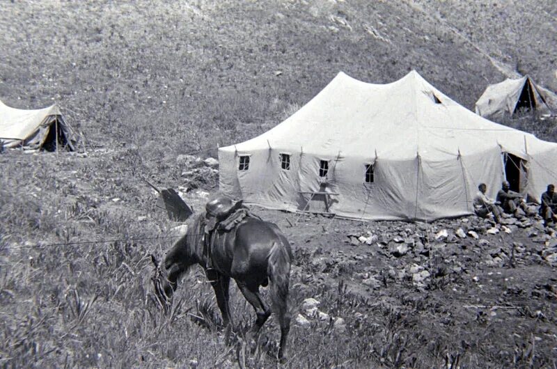 Экспедиция в среднюю Азию. Экспедиция по Киргизии в 1937 году. Казахской ССР 1937 года. Казахская ССР трагедии. Экспедиции в среднюю азию