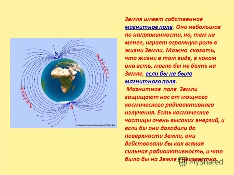 Магнитное поле земли. Магнитное поле земли физика. Зачем нужно магнитное поле земли. Магнитное поле земли сообщение. Какова роль магнитного поля земли в существовании