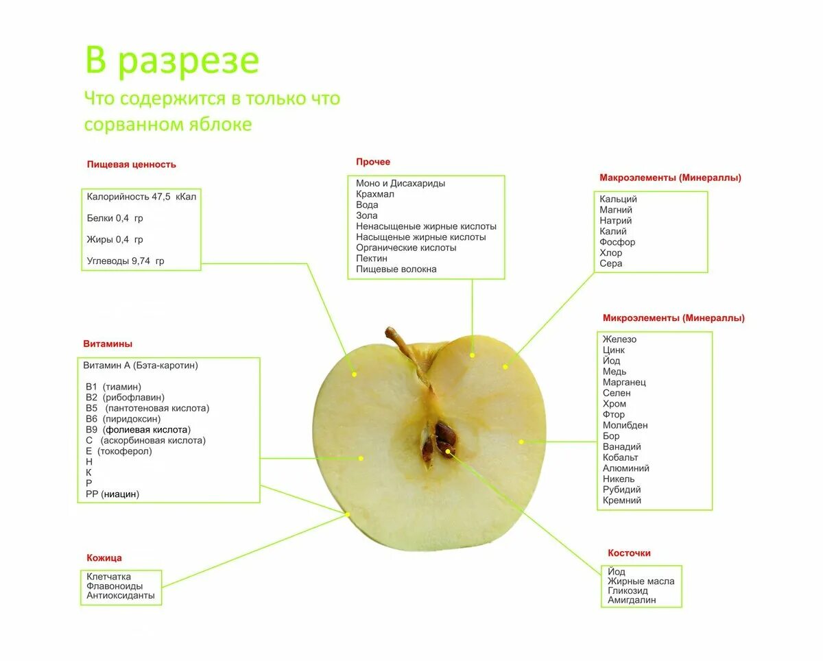 Яблоки при отравлении можно. Яблоко в разрезе. Из чего состоит яблоко. Пищевая ценность яблока. Что содержится в яблоках.