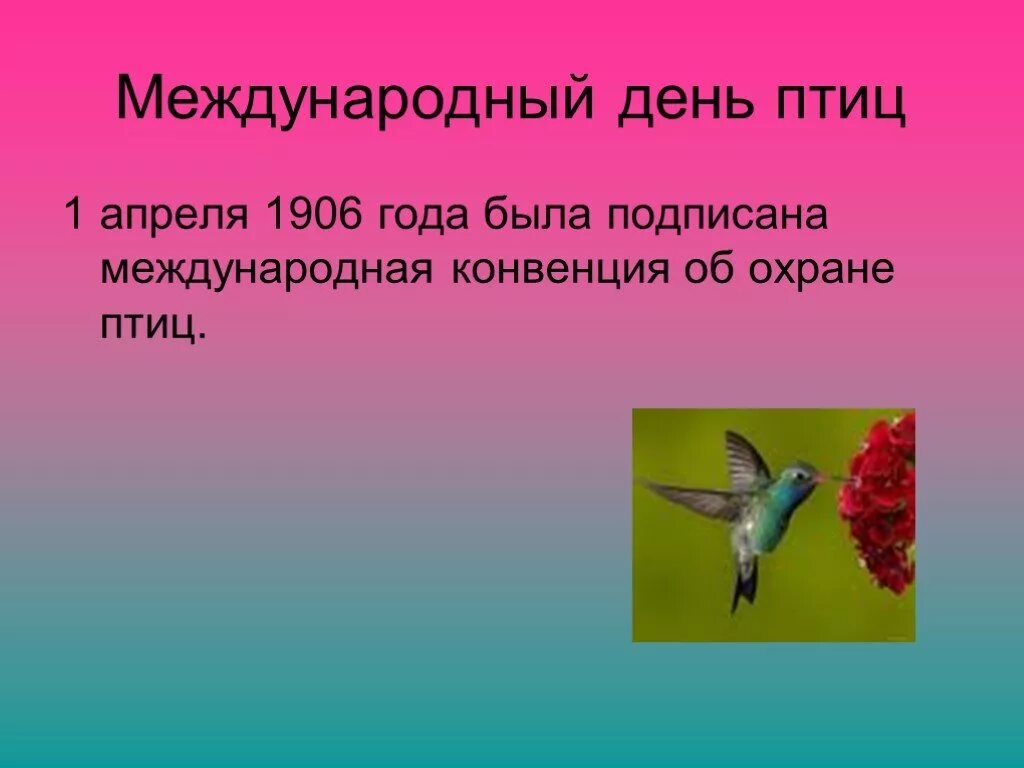 Значение птиц биология 7 класс. Международный день птиц. 1 Апреля Международный день птиц. День защиты птиц 1 апреля презентация. Презентация на тему день птиц.