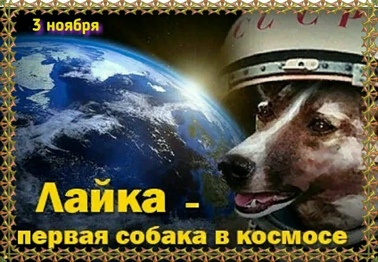 Собака лайка в космосе. Полёт собаки лайки в космос. Спутник с собакой лайкой. Спутник-2 с собакой лайкой на борту. Полет лайки в космос