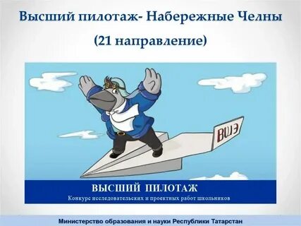 Высший пилотаж значение