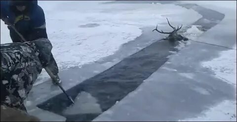 Песни спасаю холода