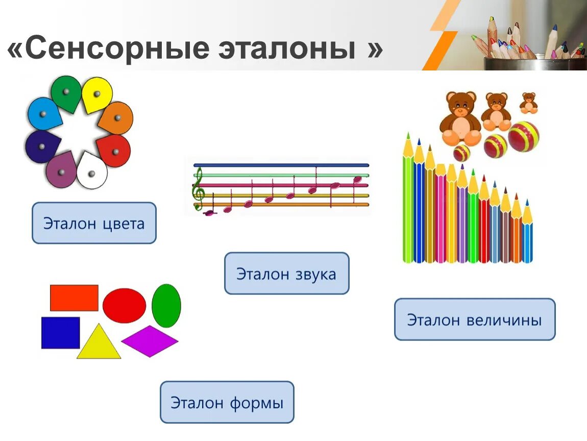 Сенсорные эталоны цвет. Сенсорные Эталоны. Эталоны цвета. Сенсорные Эталоны картинки. Сенсорные Эталоны в дошкольном возрасте это.