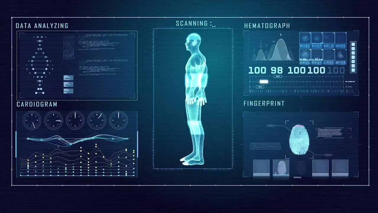 Human body visualizer. Human body visualizer