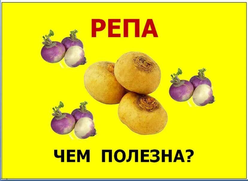 Репа польза. Чем полезна репа. витамины репы. репа полезные свойства. репе. чем полезна.