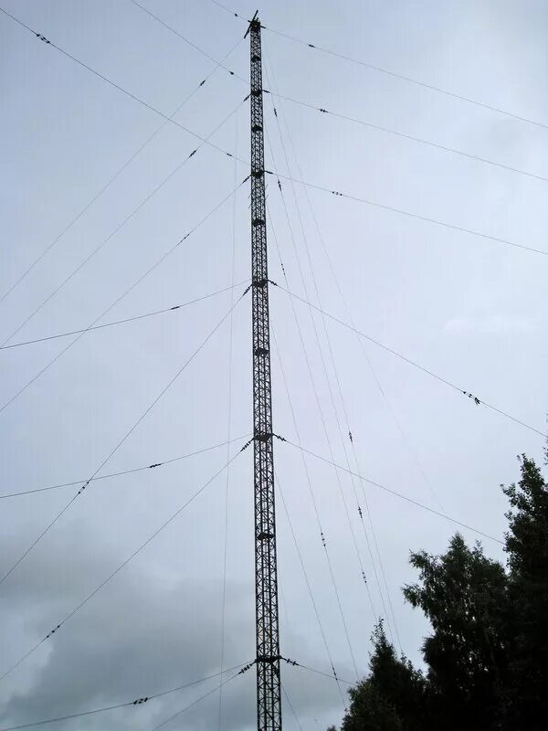 Мачта в тайге. Мачта в тайге. Вышка 300 метров. Мачта в тайге. Вышка в зотино.