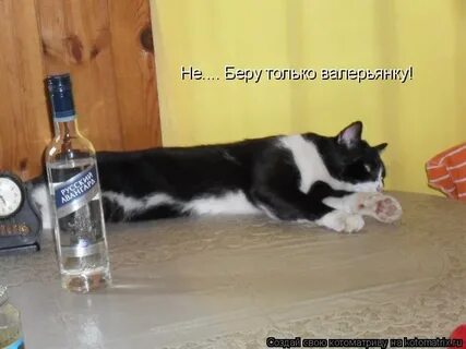 Как хотите заставлять не буду